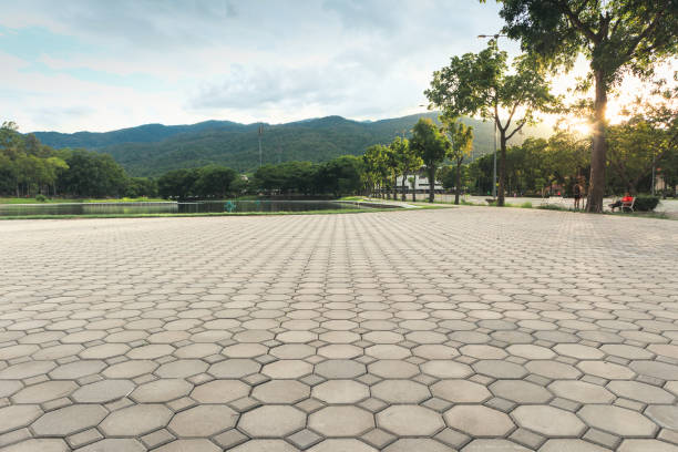 Best Professional Driveway Pavers  in Colby, WI