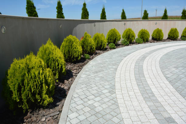 Best Residential Paver Driveway  in Colby, WI